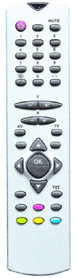 ABS Case TV Remote Control (RC1045)