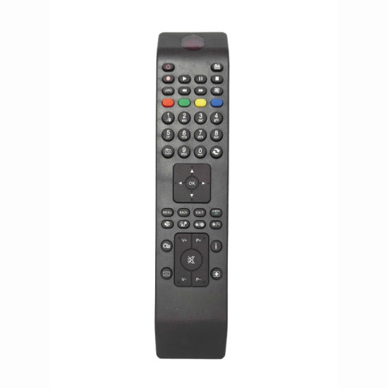 ABS Case Remote Control for TV (RD160907)