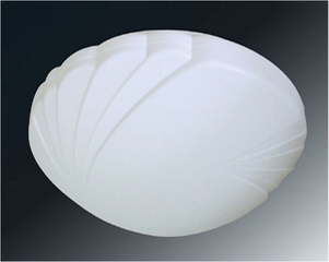 High Quality LED Ceiling Lamp (12W)