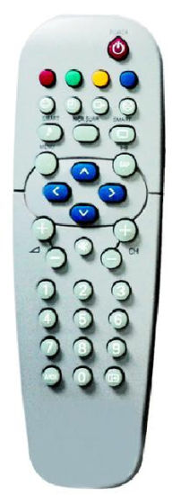 ABS Case TV Remote Control (RC19335003-01)